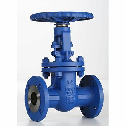 供應(yīng)意大利Valvosider閥門、過(guò)濾器